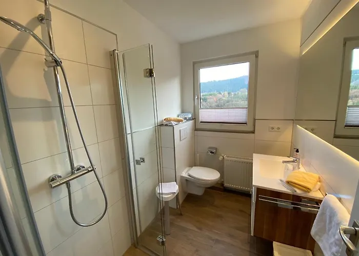 Landhaus Voss 3* Winterberg